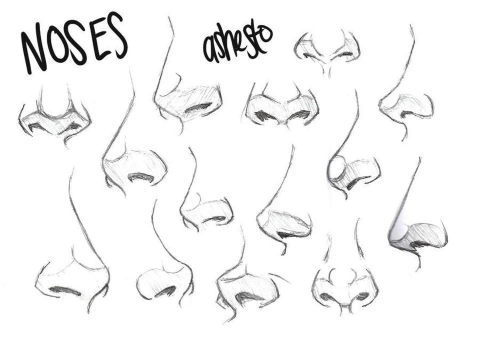Стили рисования носа