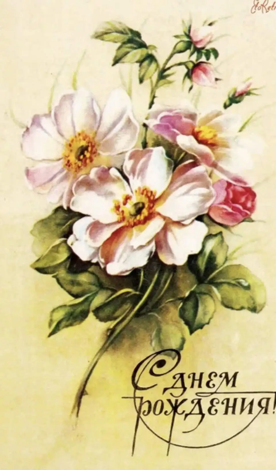 Цветы открытка на день рождения