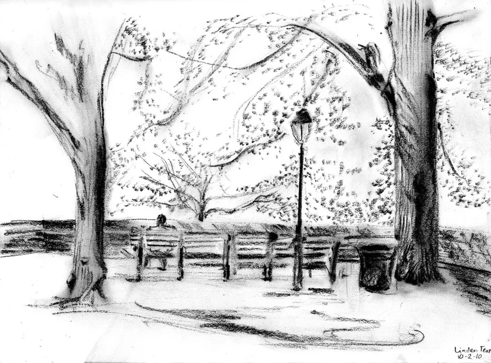 Рисунок парка карандашом
