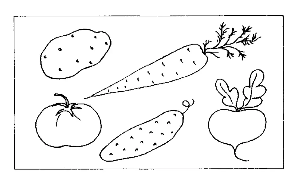 Фрукты И Овощи Картинки Для Детей Раскраски