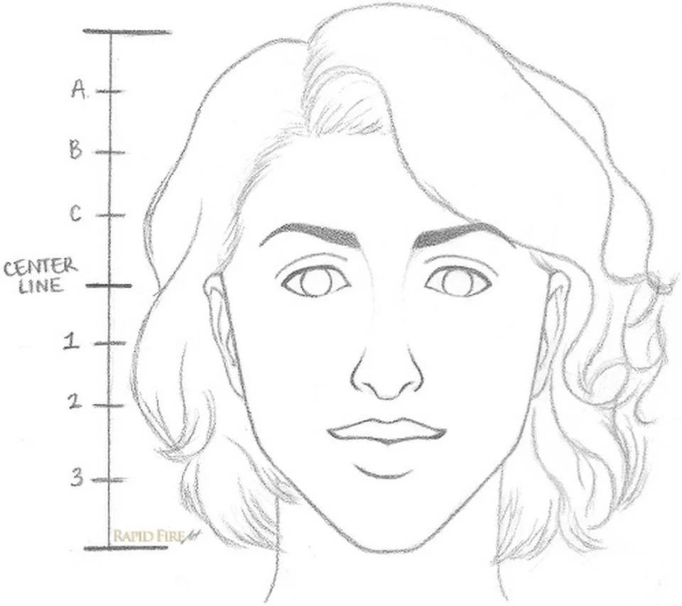 Пропорции лица женщины для рисования