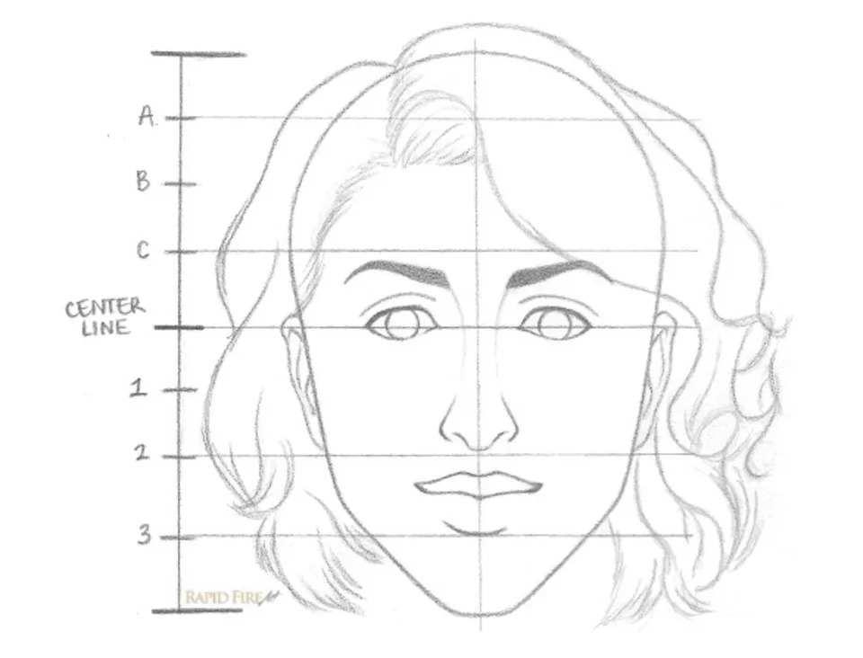 Пропорции лица человека при рисовании портрета схема