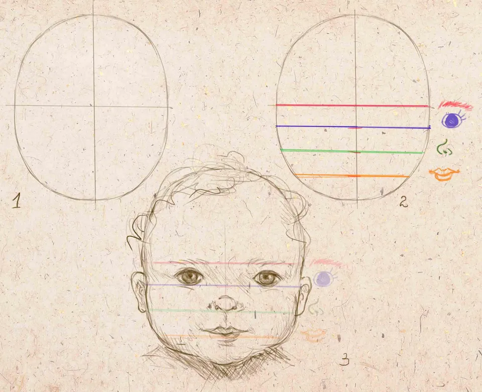 Пропорции головы ребенка для рисования