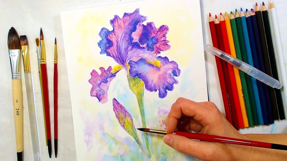 Цветы акварельными карандашами