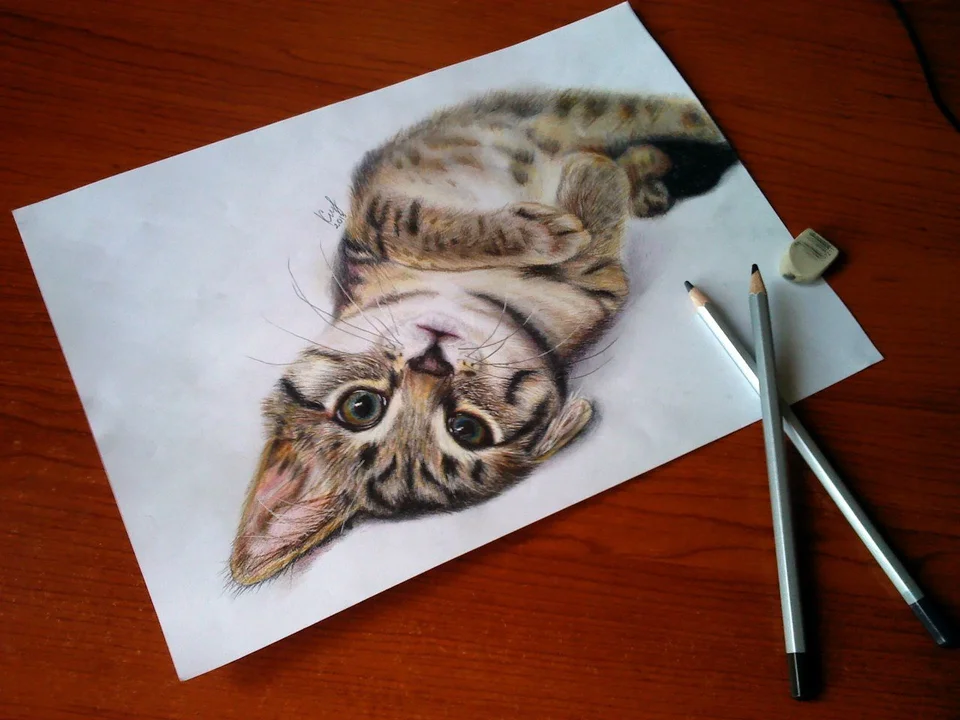 Коты карандашом