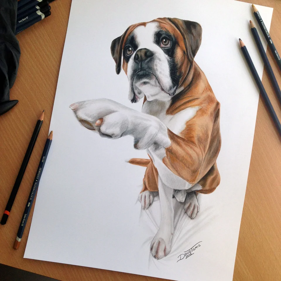 Реалистичные рисунки цветными карандашами собаку
