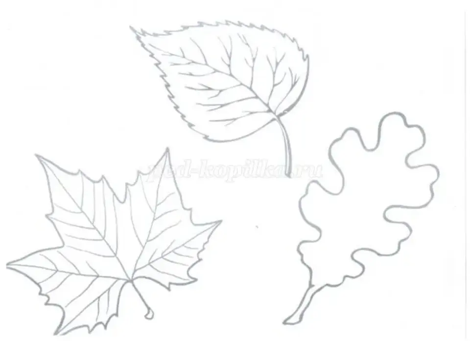 Штриховка осенних листьев
