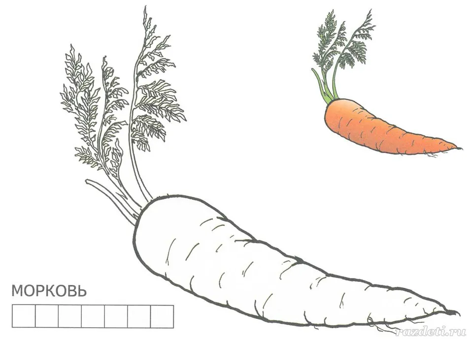 Морковь задания для детей