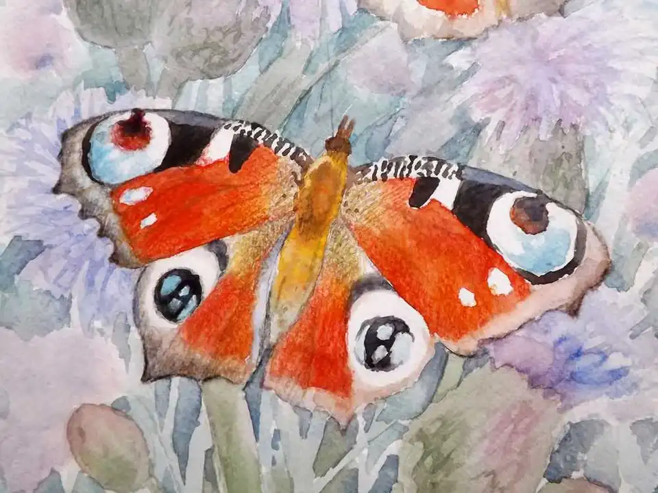 Бабочка рисунок пастелью