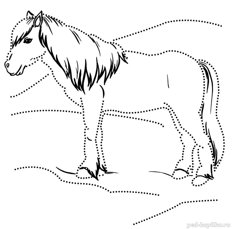 Лошадь раскраска
