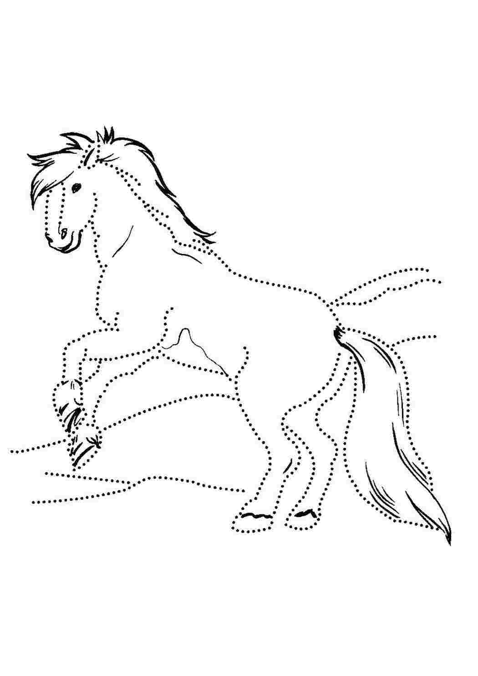 Раскраска для детей лошадь