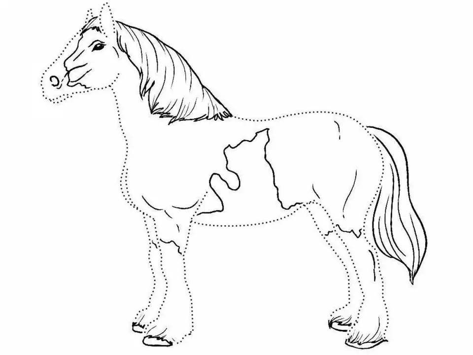 Раскраска лошадка