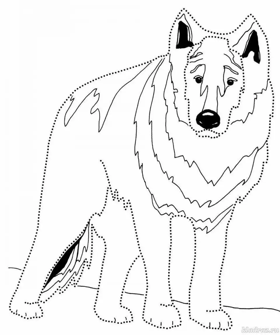Волк раскраска для детей