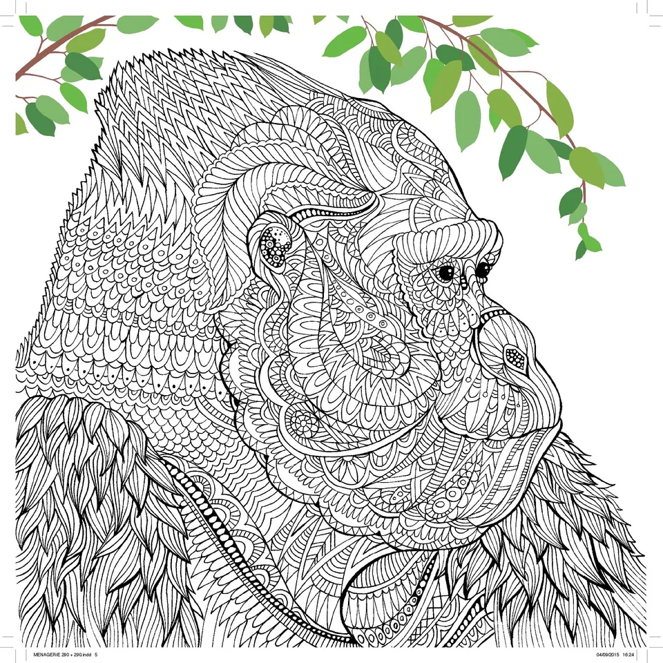 Раскраска антистресс обезьяна