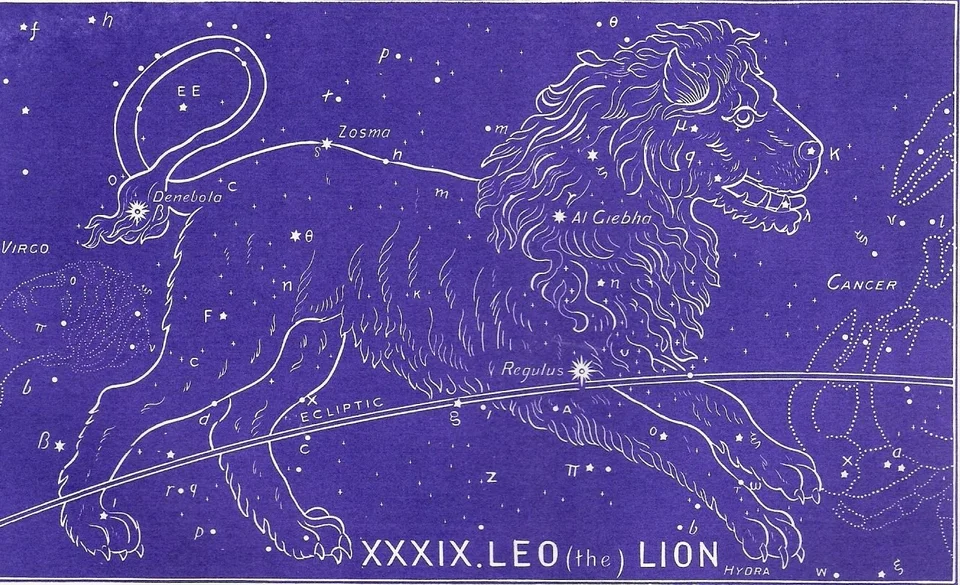 Созвездие льва рисунок окружающий мир
