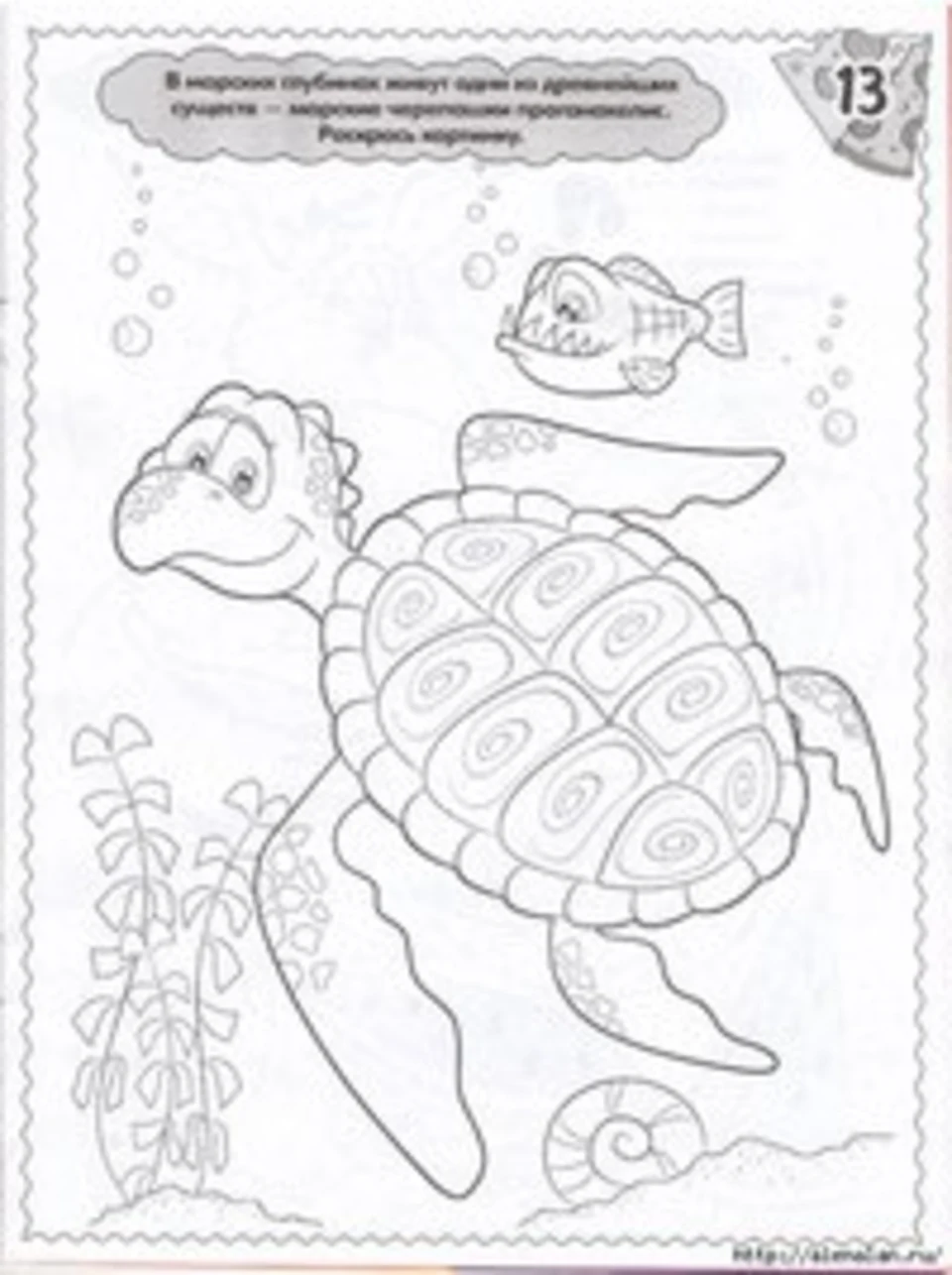 Раскраска черепаха плывет для детей
