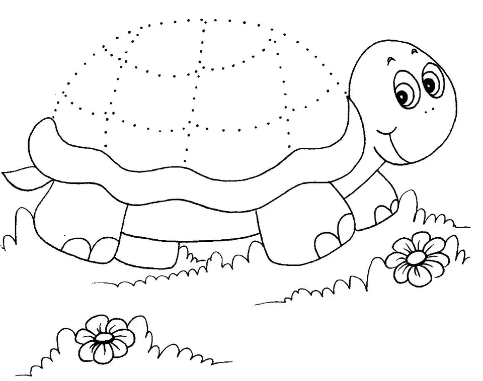 Раскраска для детей черепаха
