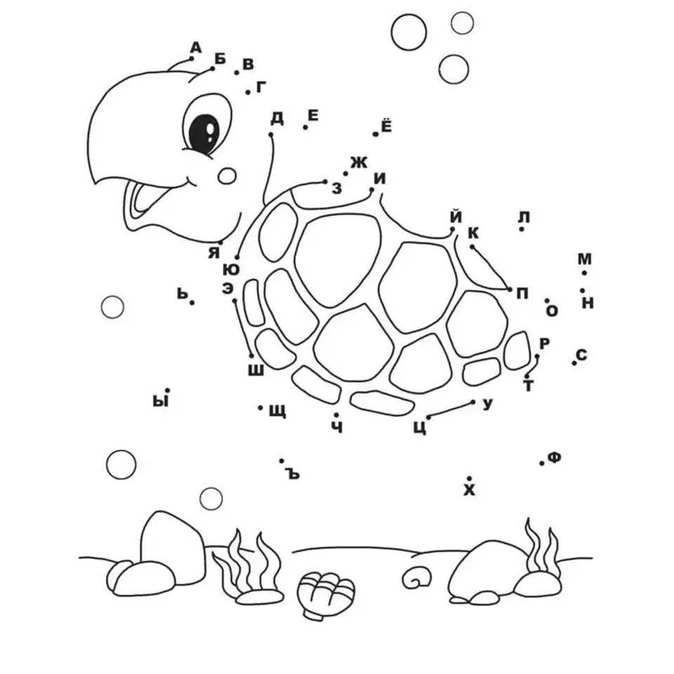 Черепаха задания для дошкольников