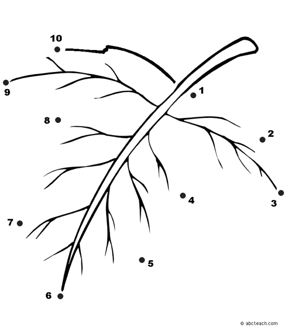 Рисование по точкам дерево
