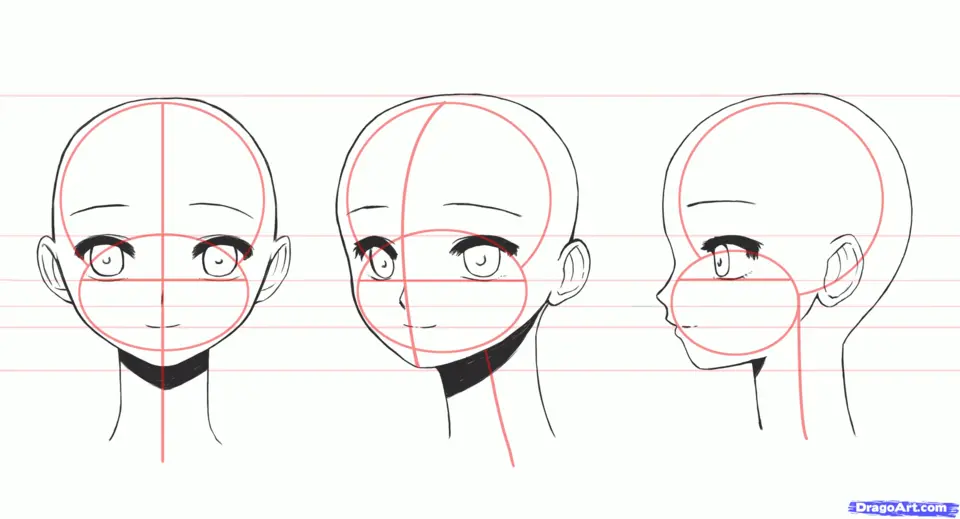 Пропорции головы аниме