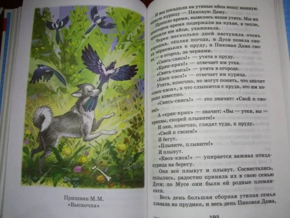 В какое время года происходили события выскочка. Выскочка пришвин 4 класс. Рассказ Пришвина выскочка. Пришвин вьюшка и выскочка.