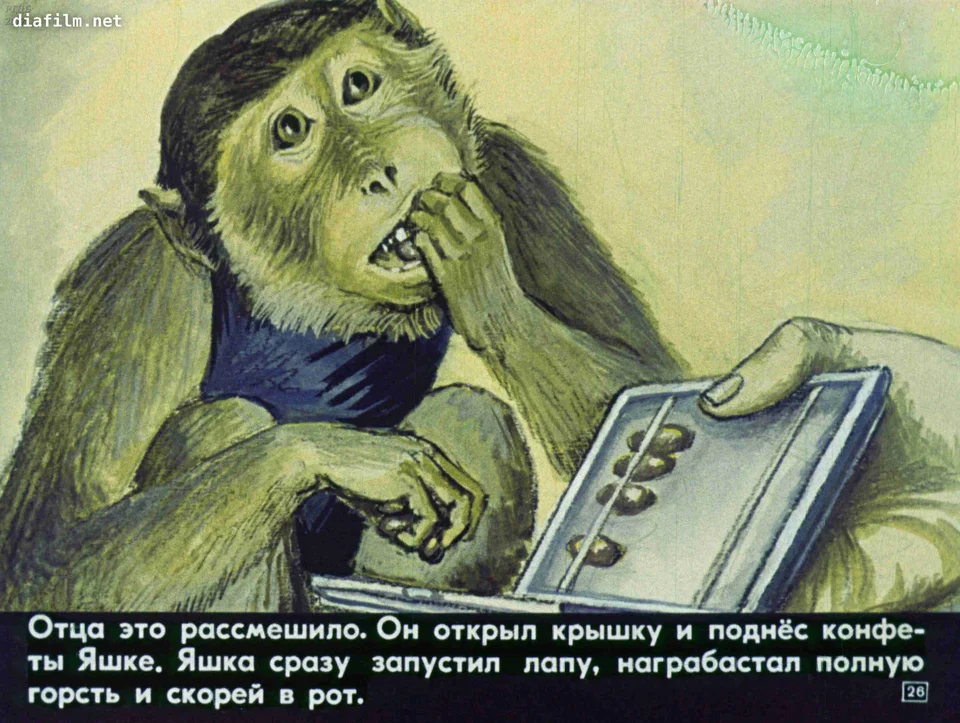 Рисунок к рассказу обезьянка