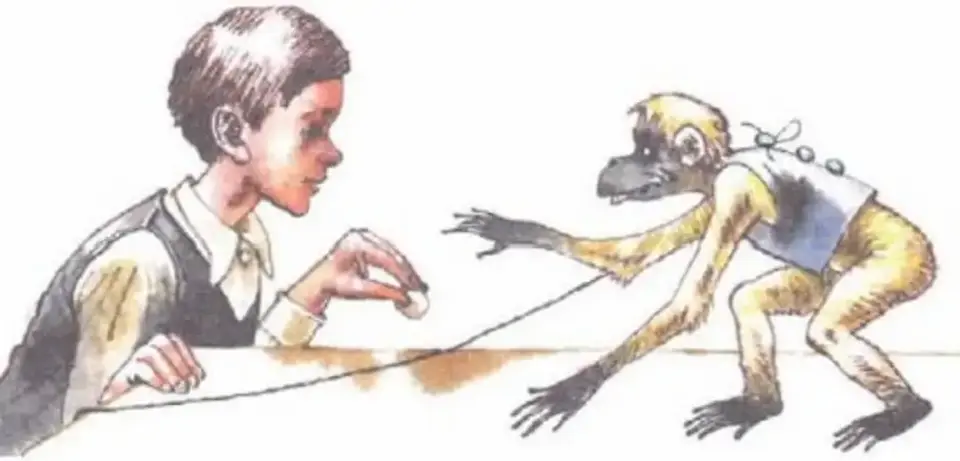 Что любит обезьянка из рассказа житкова