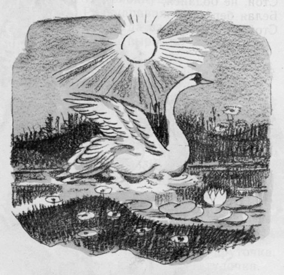 Сказка есенина лебедушка. Сказка белая Лебедушка Королькова. Лебедушка Есенина. Лебедушка Есенин Орел.
