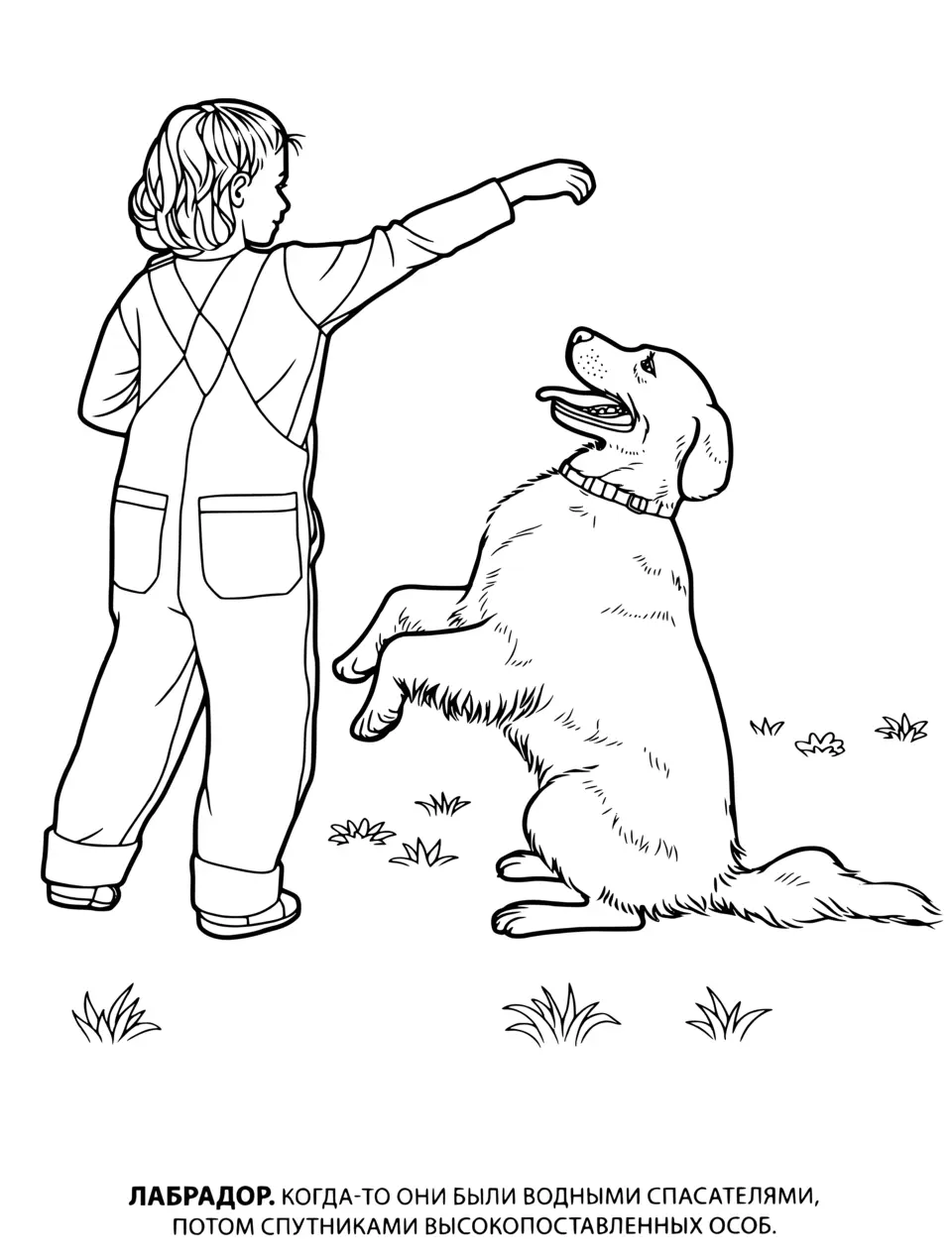 Рисунок на тему собака друг человека