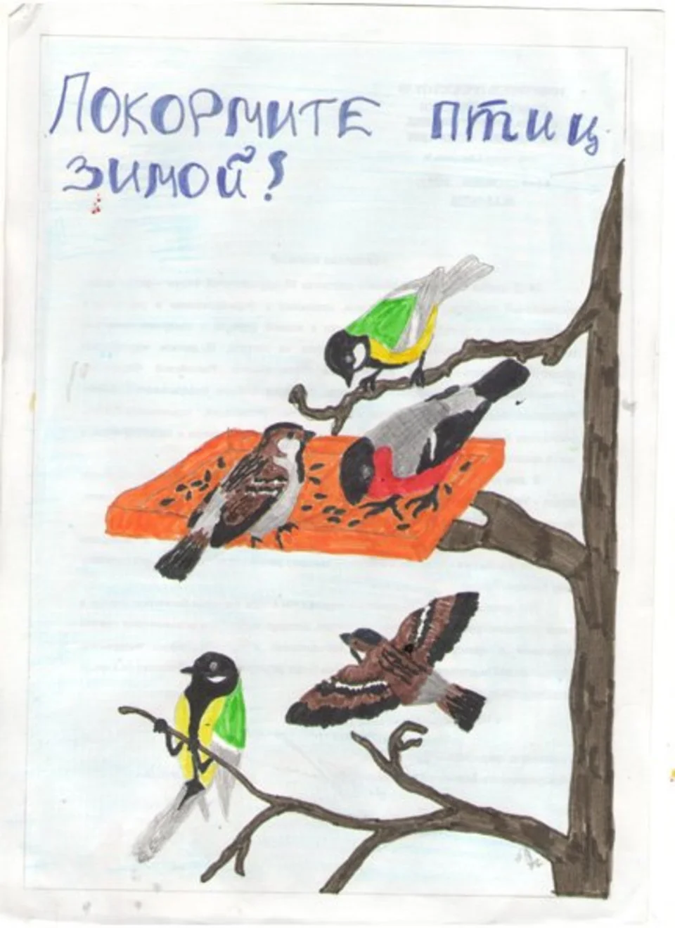 Рисунок берегите птиц. Плакат берегите птиц. Плакат в защиту птиц. Листовка в защиту птиц. Берегите птиц зимой.