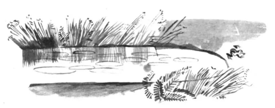 Рисунок пруда