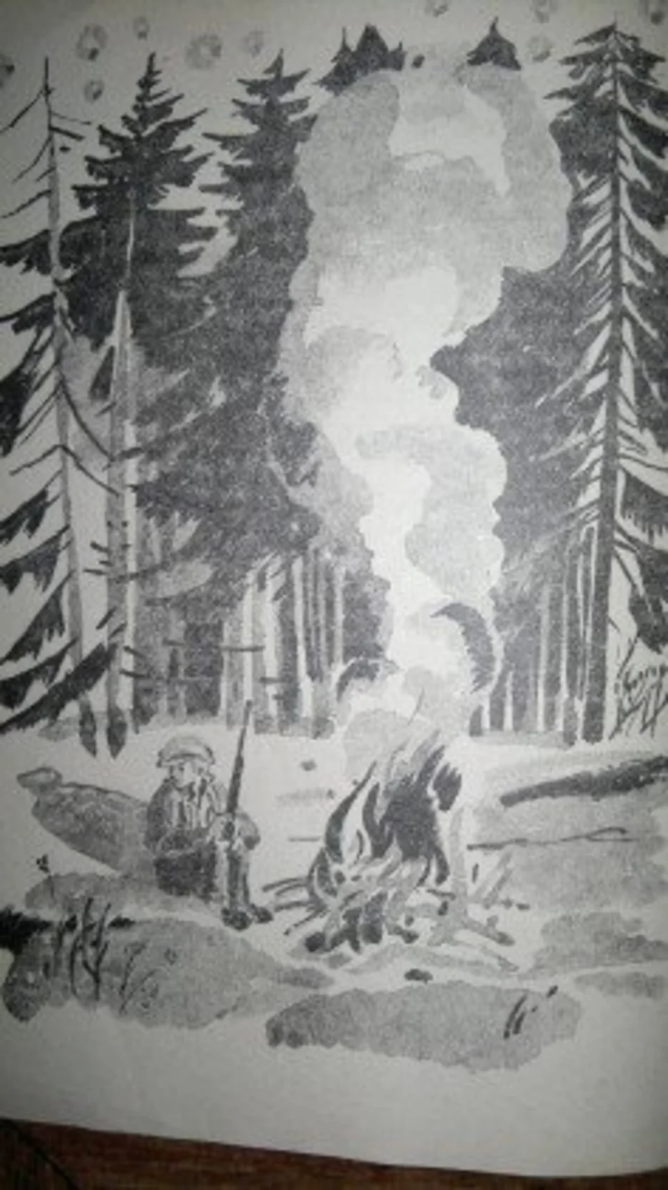 Иллюстрации к рассказу астафьева васюткино озеро