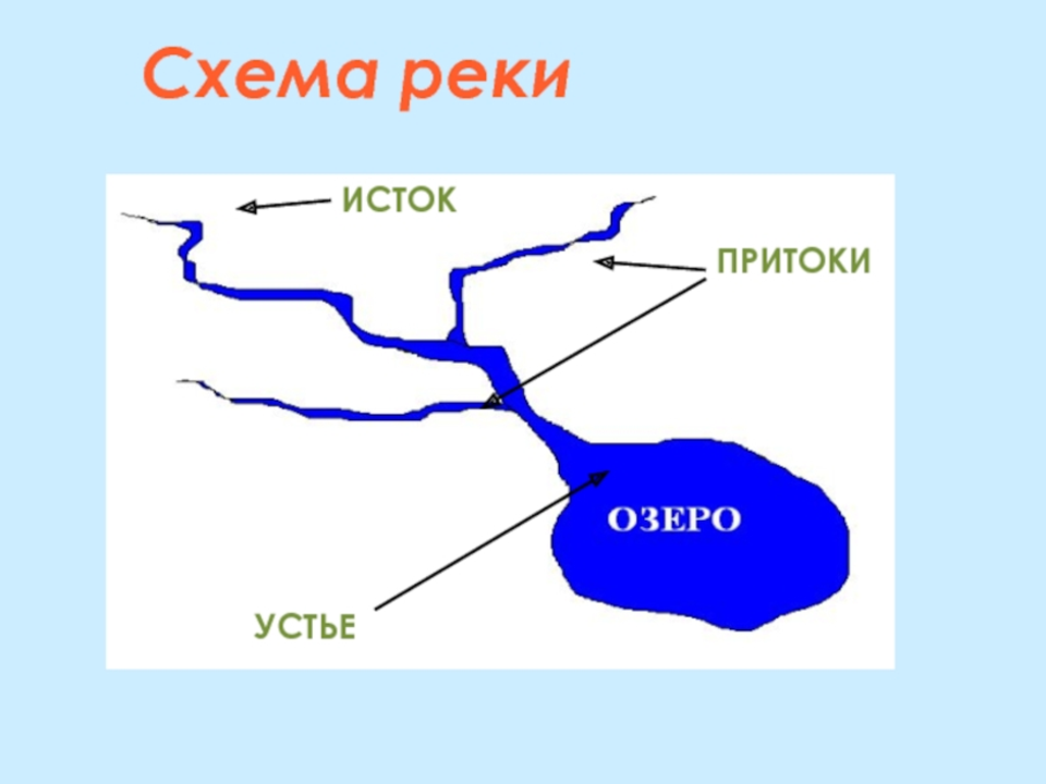 Пол реки 3 буквы. Схема реки Исток приток Устье. Исток Устье приток схема. Река Исток приток Устье рисунок. Устье реки Исток приток окружающий мир.