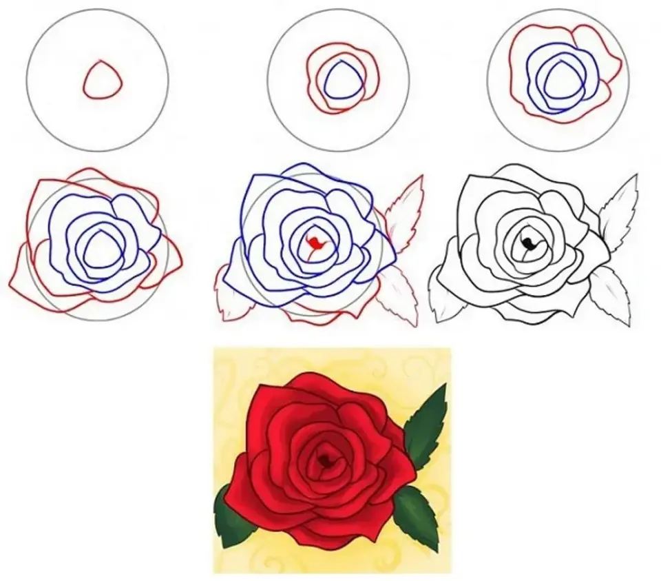 Роза Картинки Нарисованные Поэтапно