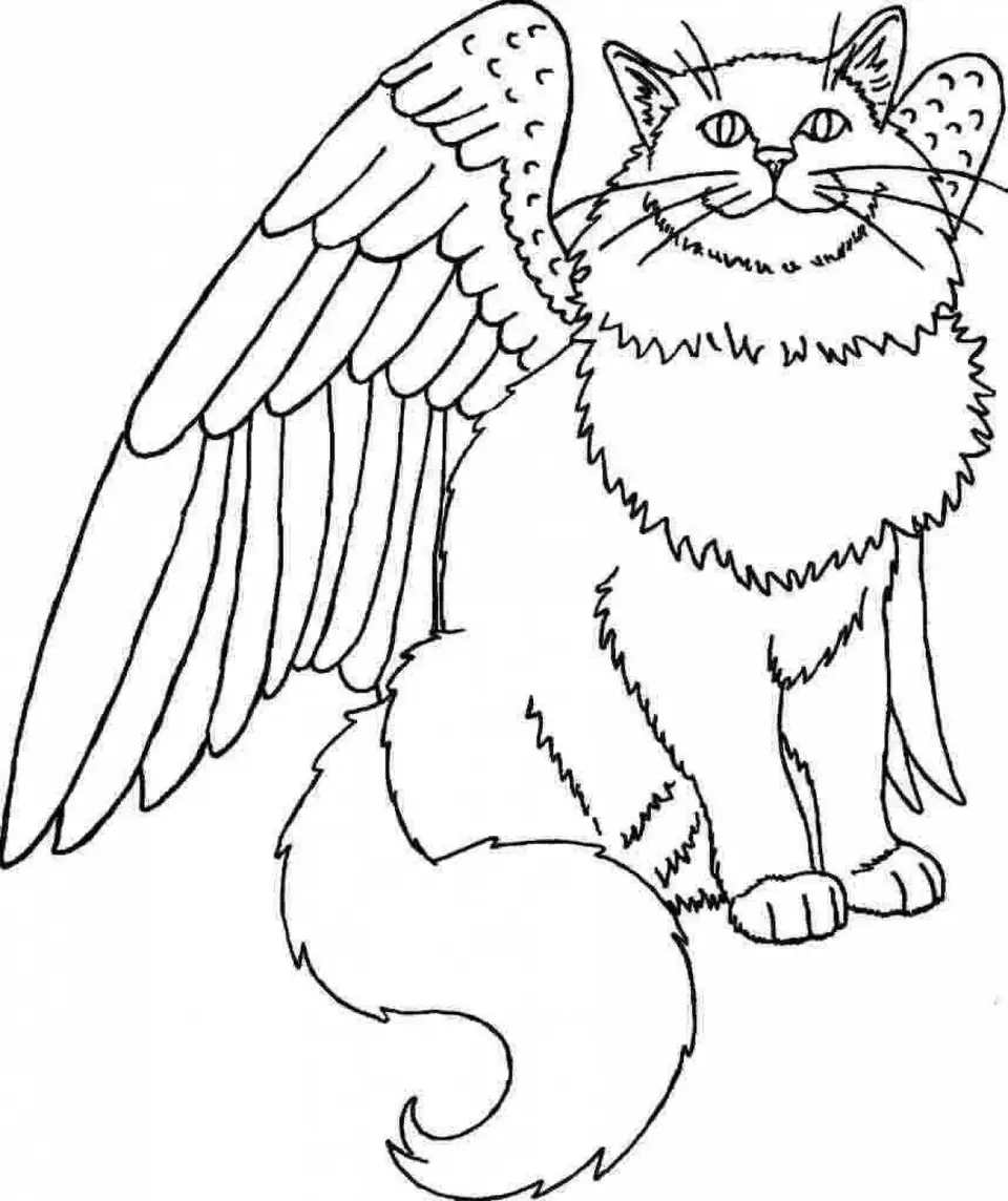 Раскраска кошка ангел