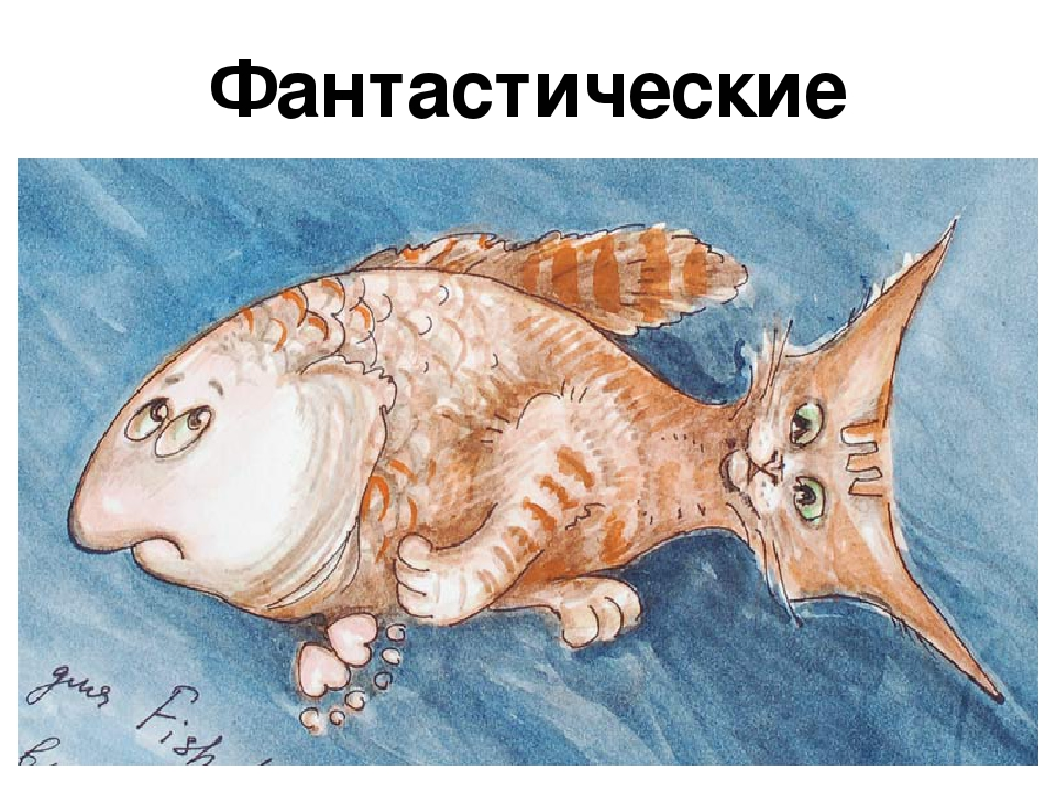 Кот с рыбой рисунок
