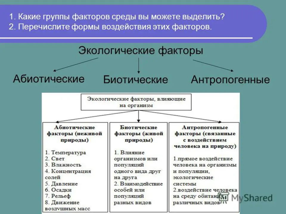 Факторы среды кратко. Схема экологических факторов биология. Факторы окружающей среды химические физические биологические. Биотические экологические факторы. Абиотические биотические и антропогенные факторы таблица.