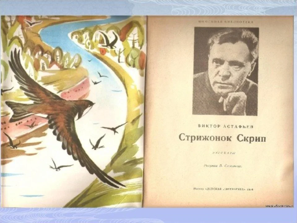 Чему учились стрижи у семьи в рассказе. Иллюстрация к произведению Стрижонок скрип.