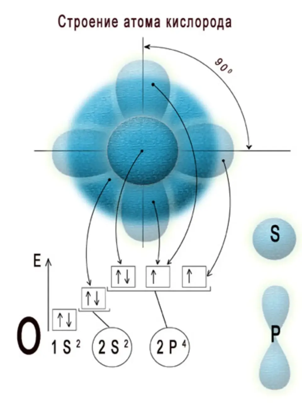 Схема кислорода в химии. Электронное строение молекулы кислорода. Атомная структура кислорода. Строение атома кислорода. Схема строения электронной оболочки атома водорода.