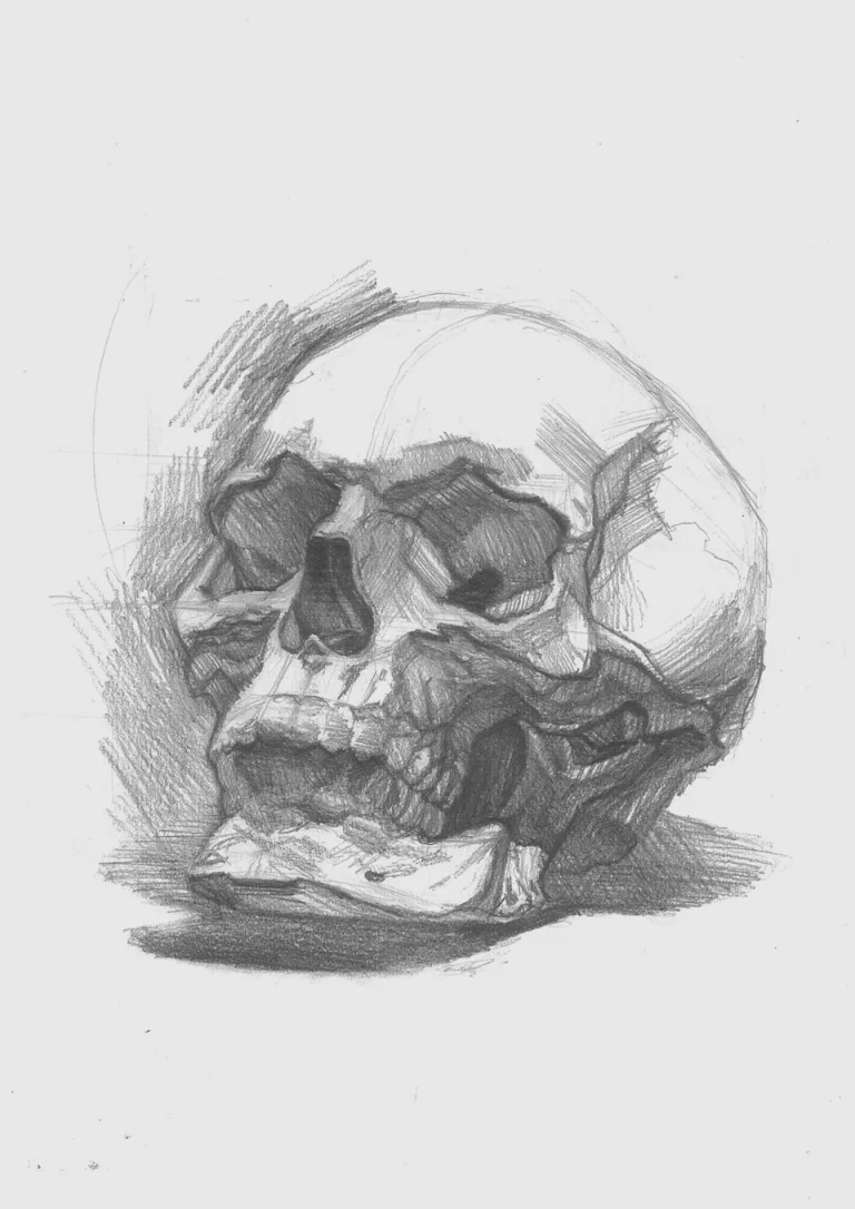 Академический рисунок черепа