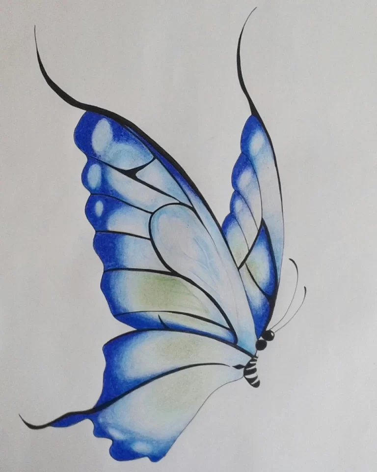 Легкие И Прекрасные: Бабочка – Идеальный Рисунок Для Срисовки