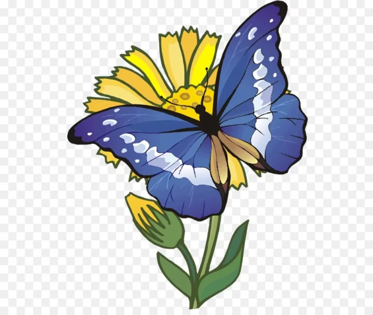 Идеальные Бабочки Для Букета: Красиво Нарисованные Украшения