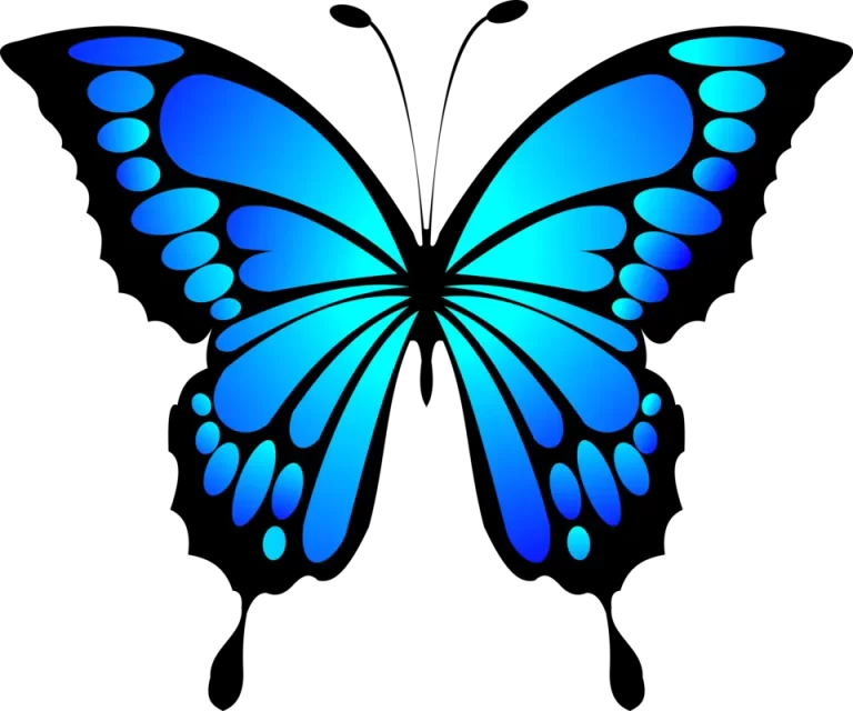 Бабочка синяя