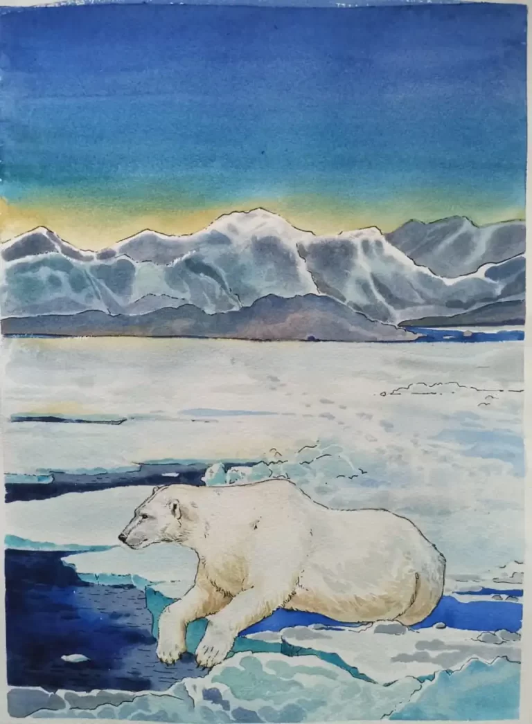 Изумительный Рисунок: Белый Медведь На Льдине