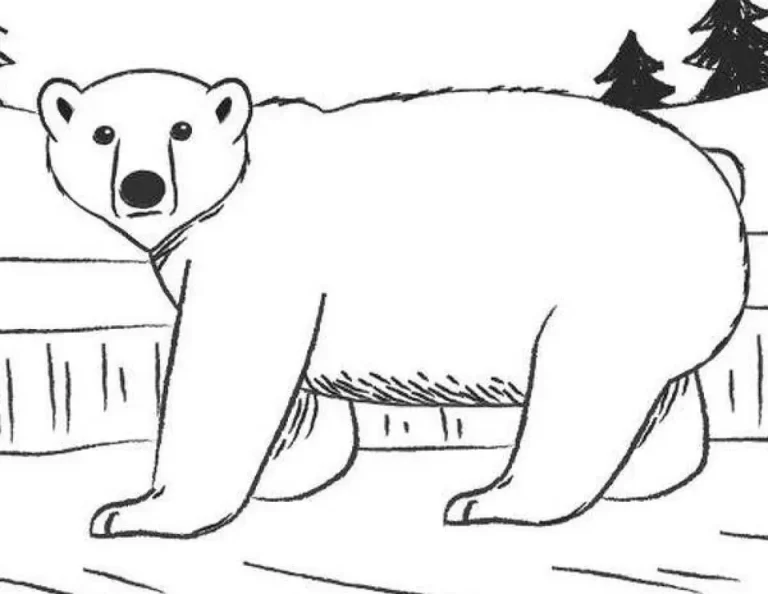 Искусство На Холсте: Белый Медвежонок В Рисунках