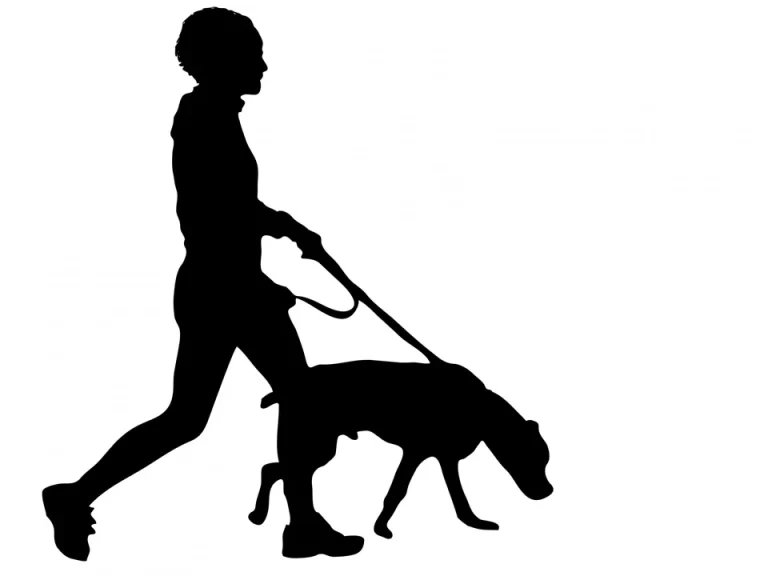 Искусство: Захватывающий Рисунок Человека С Собакой