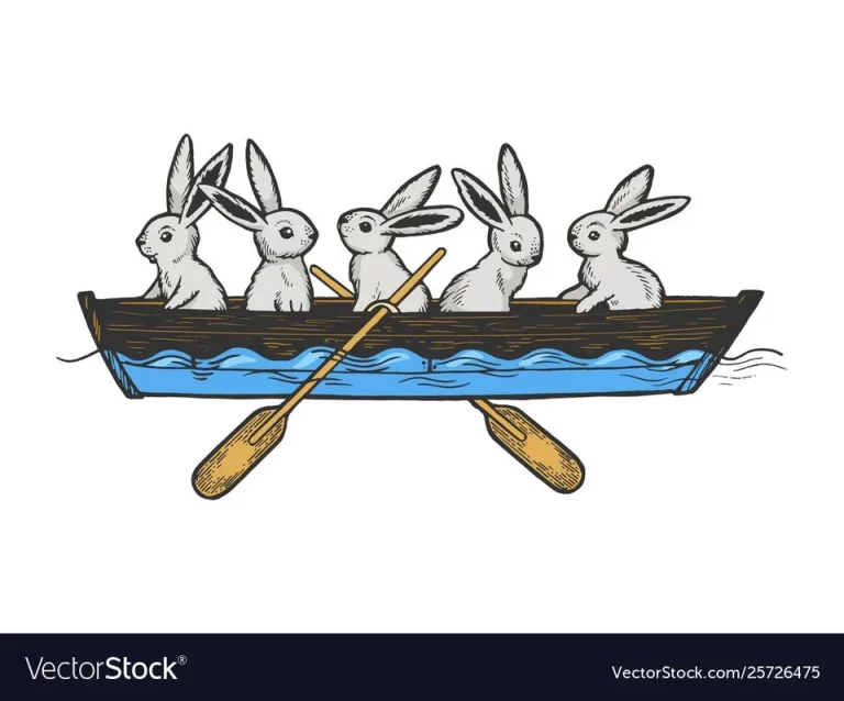 Заяц плывет на лодке