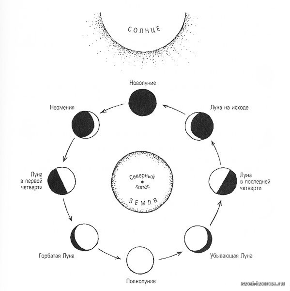 Схема луны в течение месяца. Фазы Луны схема фаз. Лунный цикл схема. Циклы Луны схема. Что такое фазы Луны нарисуйте схему.