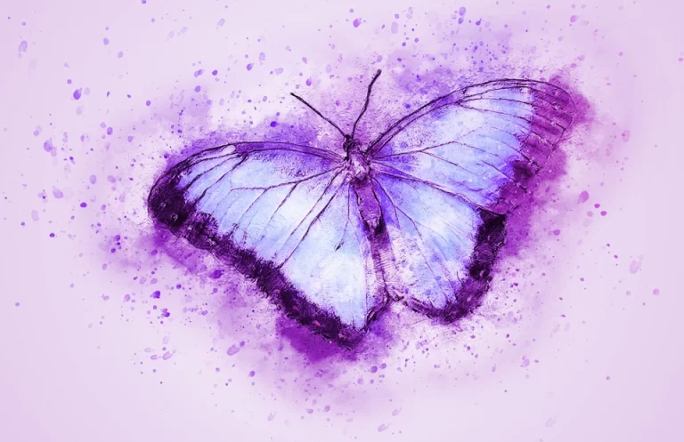 Удивительные Фиолетовые Рисунки Для Творчества И Срисовки