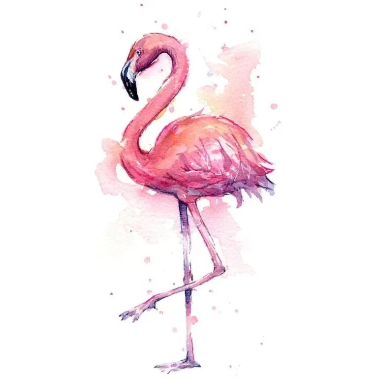 Изящный Розовый Фламинго: Великолепный Рисунок Для Вдохновения
